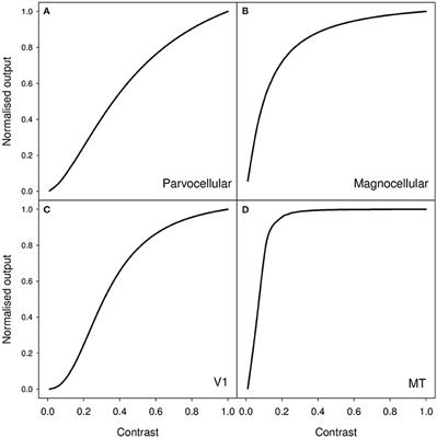 Perceived Duration Increases with Contrast, but Only a Little